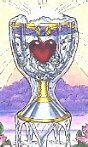 Ace of Cups from the Robin Wood Tarot