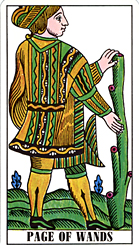 Page of Wands from Tarot Classic (U.S. Games Systems/AGMüller)